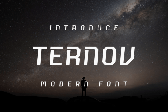 Ternov: A Unique Display Font for Your Brand