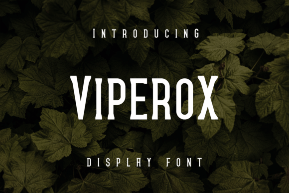 Viperox: A Unique Display Font for Editorial Design